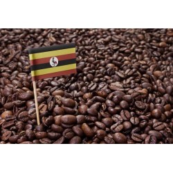 Cafea Uganda Bugisu AA 100% Arabica